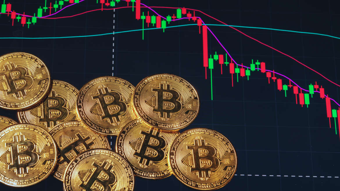 Bitcoin’de Ayı Piyasası Bitiyor mu? Arzın Yüzde 79’u Tek Bir Grupta Birikti