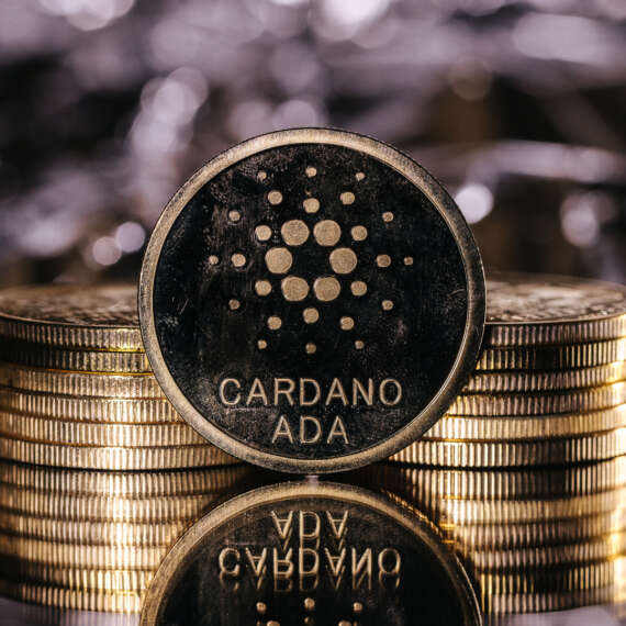 Altcoin Kurucusundan Google ve Amazon’u Sarsan Uyarı: İnternet 2035’te Yıkılacak