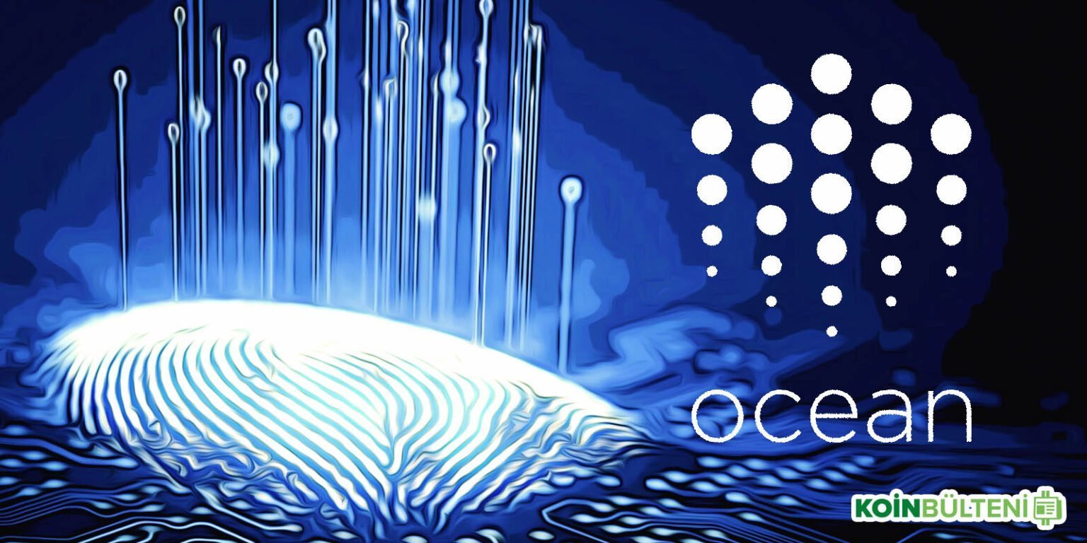 Ocean protocol обзор