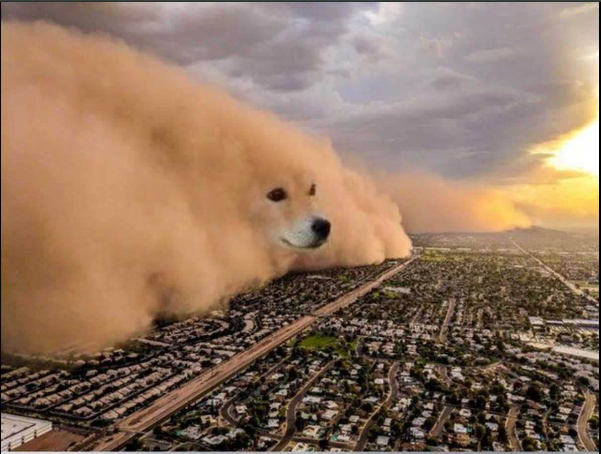 sandstorm-doge-meme