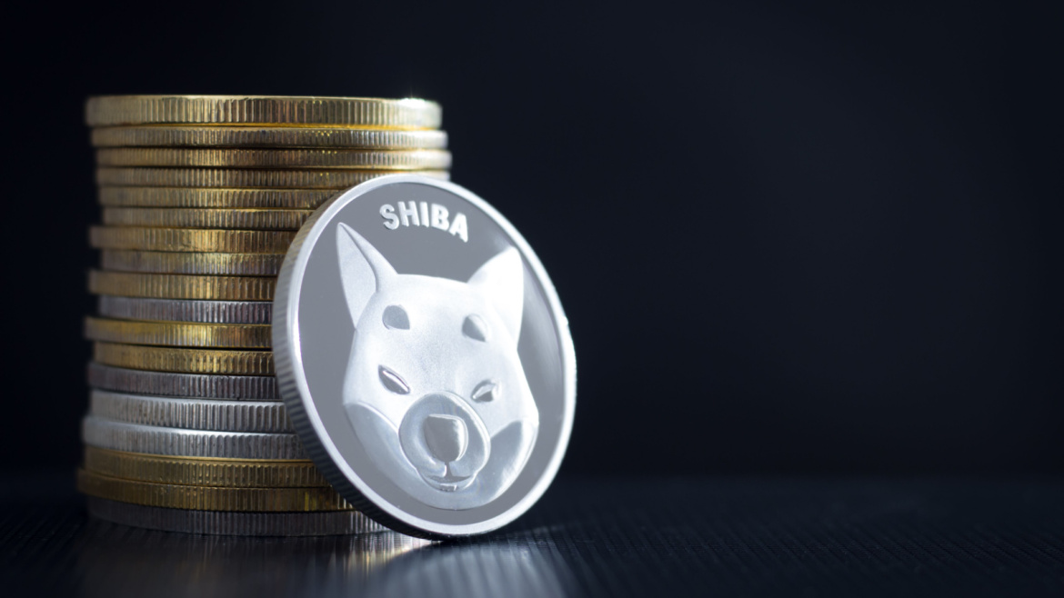 Shiba Inu Çıkardığı Token ile Ortalığı Karıştırdı Gerçeğe Dönüştü, 64x