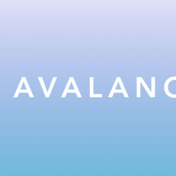 Yapı Kredi ve Akbank Avalanche İş Birliklerine Dair Detayları Açıkladı