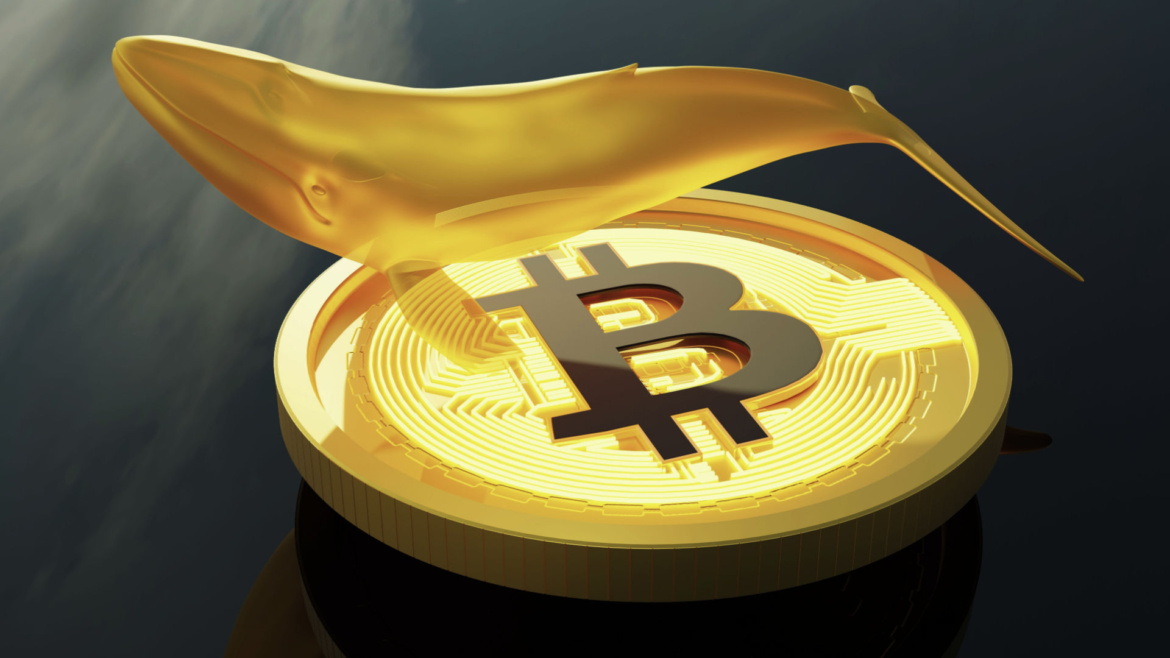 Bitcoin’de Balinalardan 19 Bin 610 Adetlik Dev Hamle: Perakende Kaçarken 70 Bin Dolar Kapısı Aralandı