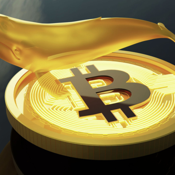 Balina Bitcoin’de Yükseliş Sonrası Yine Alım Yaptı: 2 Aydır Tepeden Biriktiriyor!