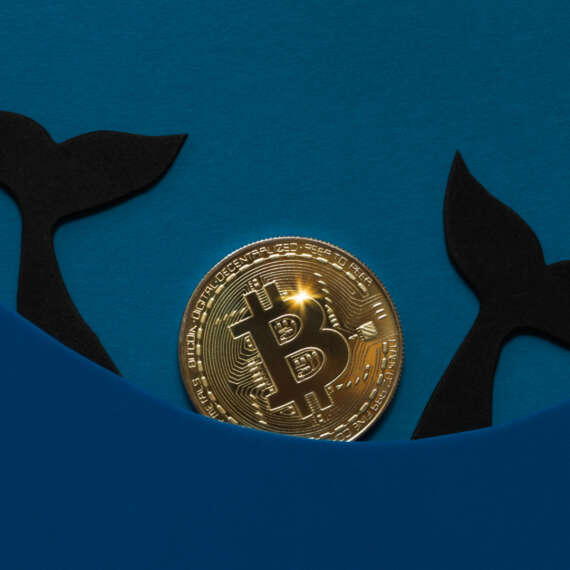 Ünlü Yatırımcı Uyardı: Balinalar Bitcoin Alımlarını Hızlandırdı