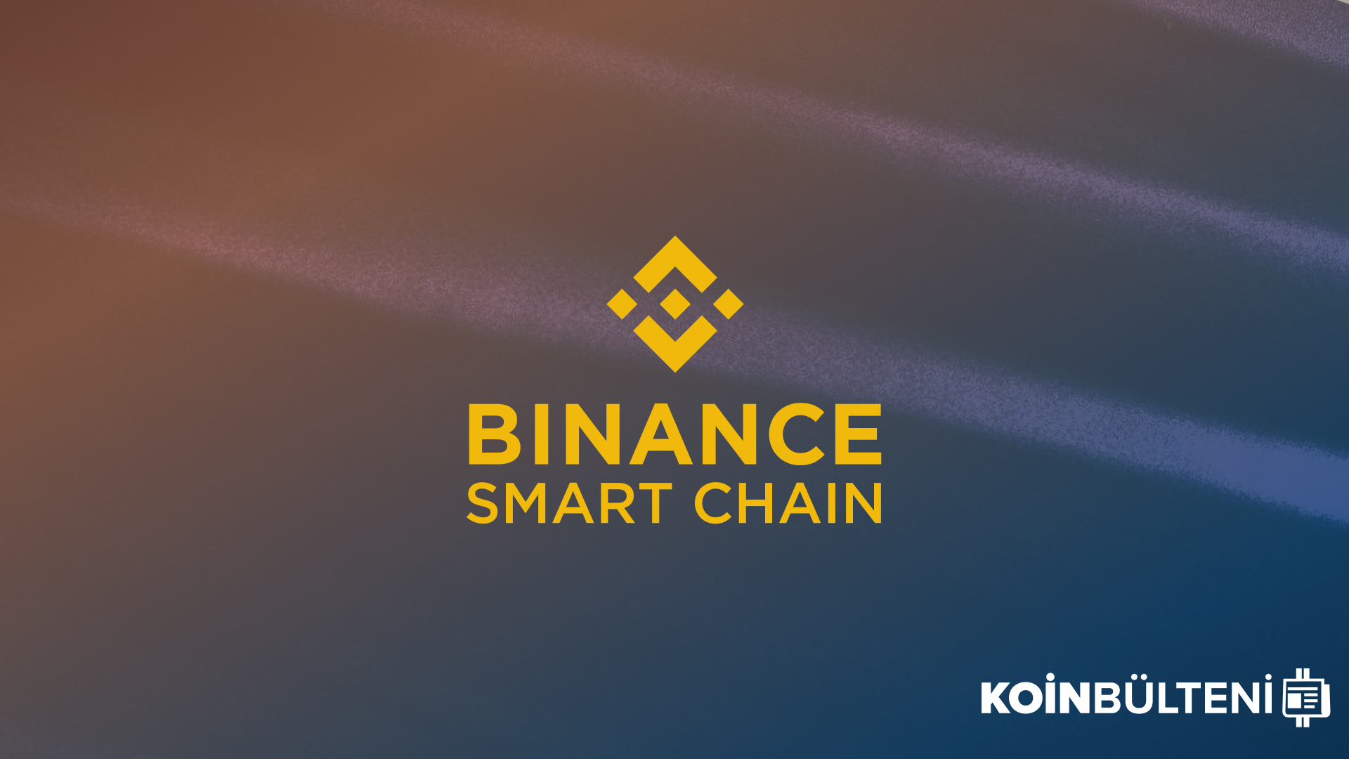 binance-smart-chain-meerkat-finance-defi-hack