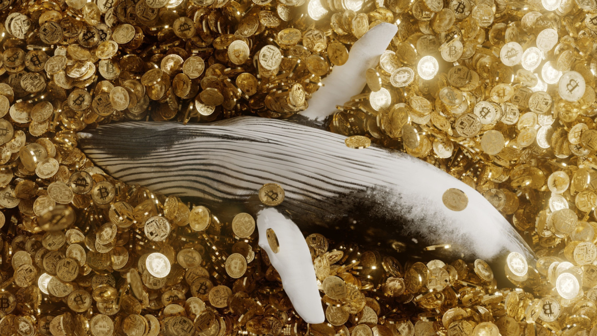 Bitcoin Balinaları Ralliyi Alımla Karşıladı: 115.000 BTC’lik Birikim Durdu mu?