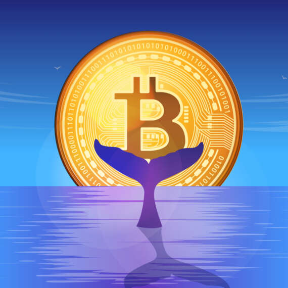 Kripto Paraların Düşüşü Sonrası Balinalar Sahneye Çıktı: Hangi Altcoinleri Alıyorlar?