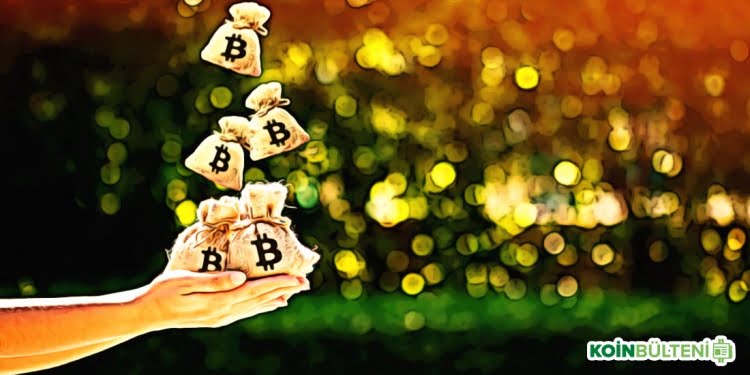 Bitcoin Dolandırıcılık Hırsızlık