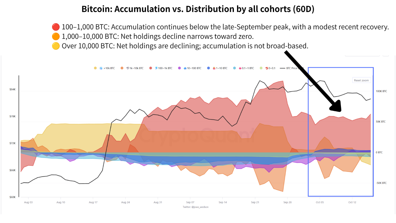 Bitcoin sahip gruplarının 60 günlük net birikim ve varlık değişimi