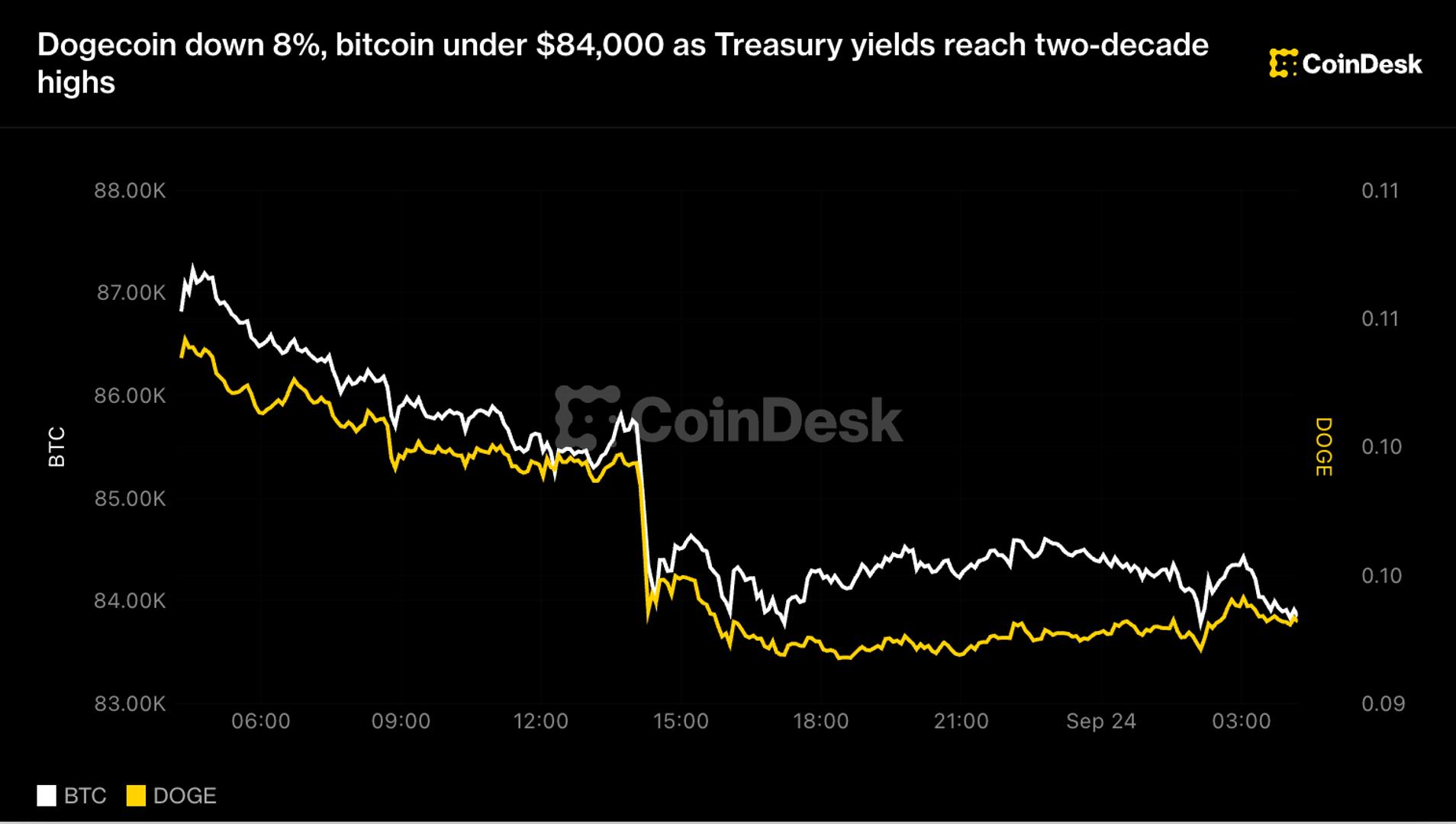 Bitcoin ve Dogecoin fiyatlarının gün içindeki düşüşünü gösteren grafik