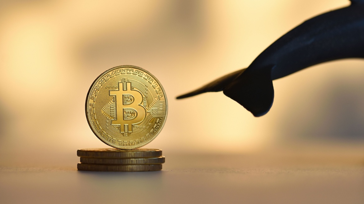 4 Yılı Aşkın Süredir Uyuyan Bitcoin Balinası Uyandı: 375 Milyon Doları Aşan Transfer!