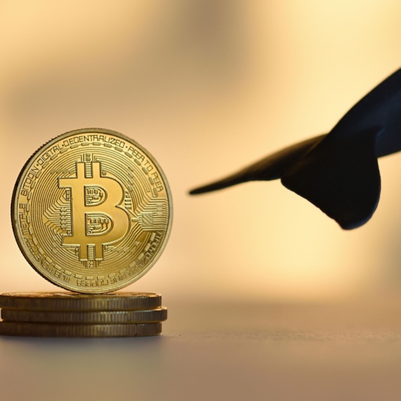 Bitcoin Boğaları Sahnede: Özel Metrik Güçlü Yükseliş Sinyali Veriyor!