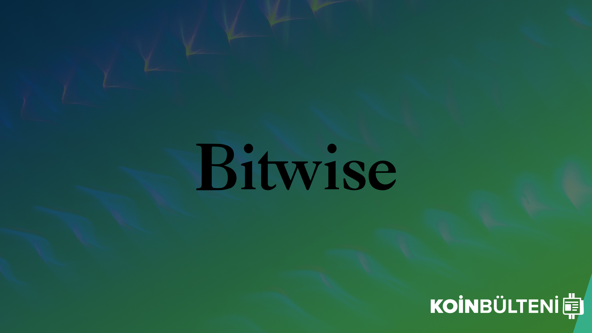 bitwise-koin-bulteni