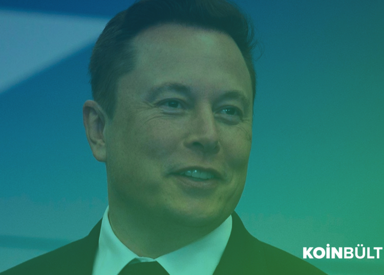 Elon Musk'ın CEO'su (!) Olduğu Dogecoin'de Durumlar Nasıl ...