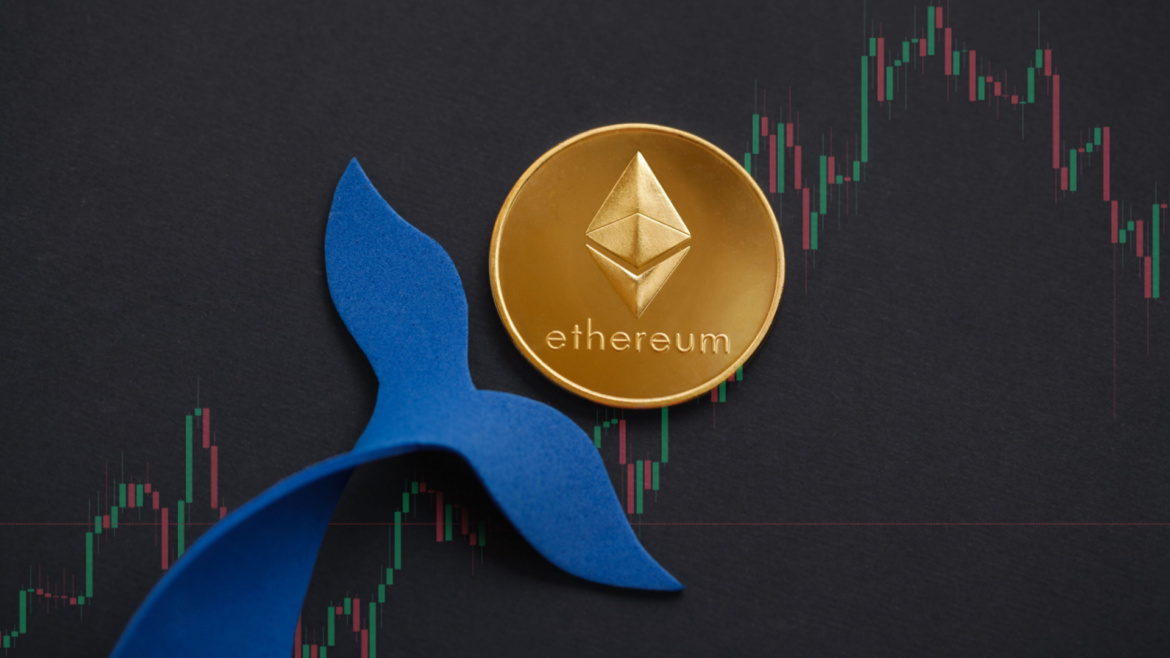 8 Yıl Sonra Sessizlik Bozuldu: 4 Dev Ethereum Balinası İlk İşlemini Yaptı