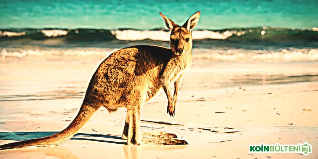 Kanguru Avustralya