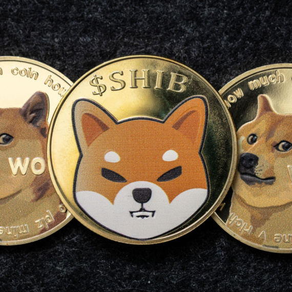 Köpek Coinler Bu Haftanın Yıldızı Oldu! Patlamaya Hazır Sıradaki Köpek Coin Dogeverse İçin Son Fırsat
