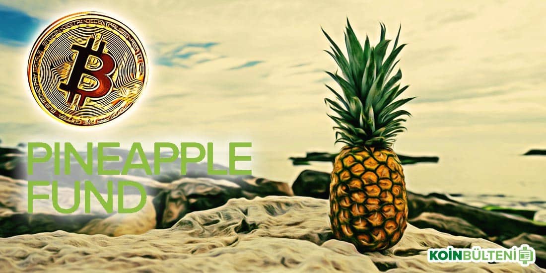 pineapple fund bitcoin bagis
