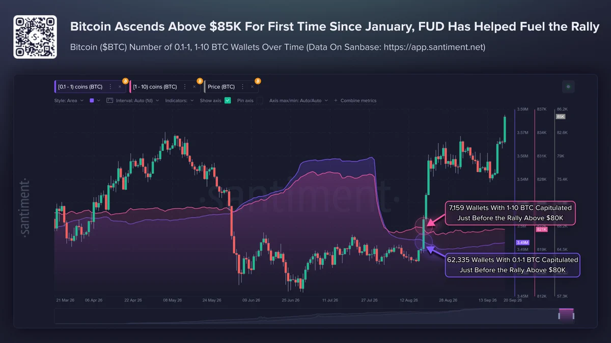 Santiment grafiğinde Bitcoin fiyatı ve 0,1-1 BTC ile 1-10 BTC tutan cüzdan sayılarındaki değişim