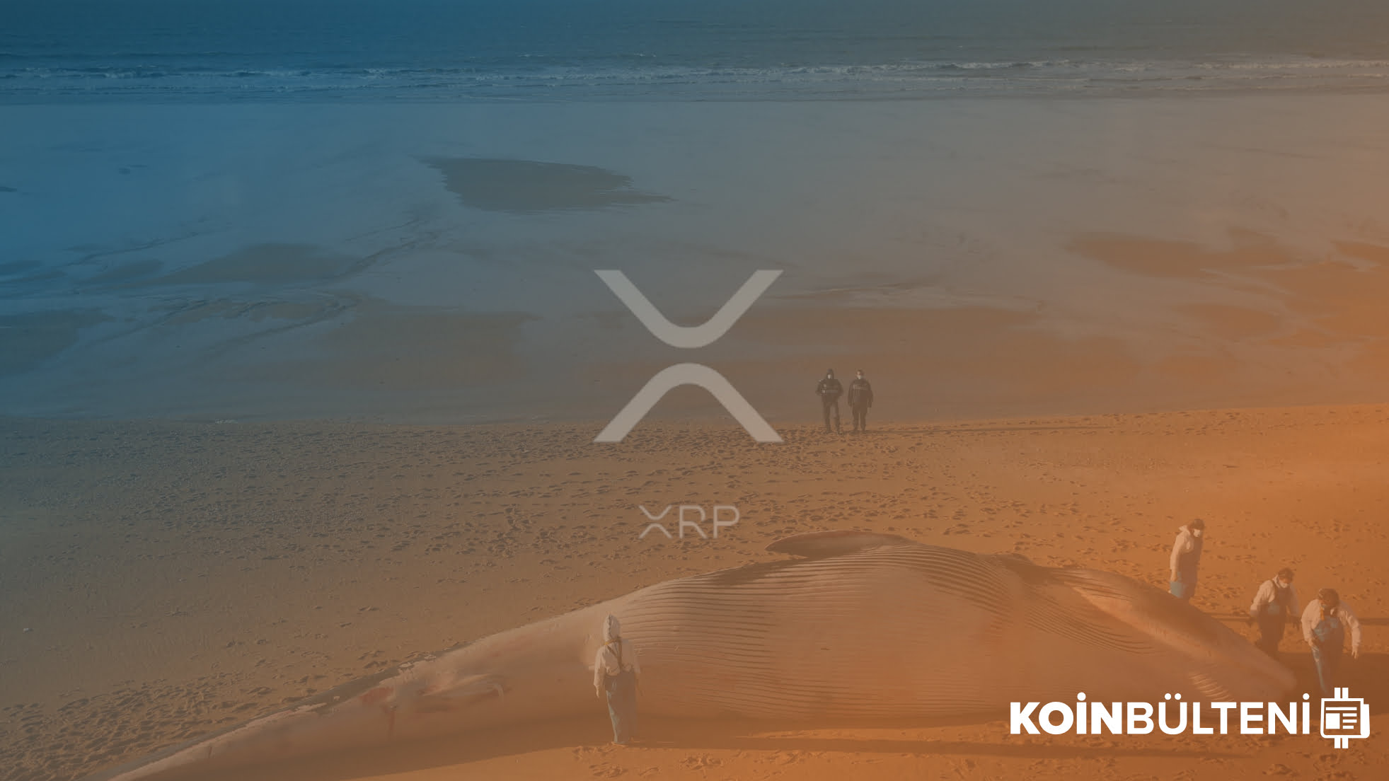 xrp-balina-sayısı