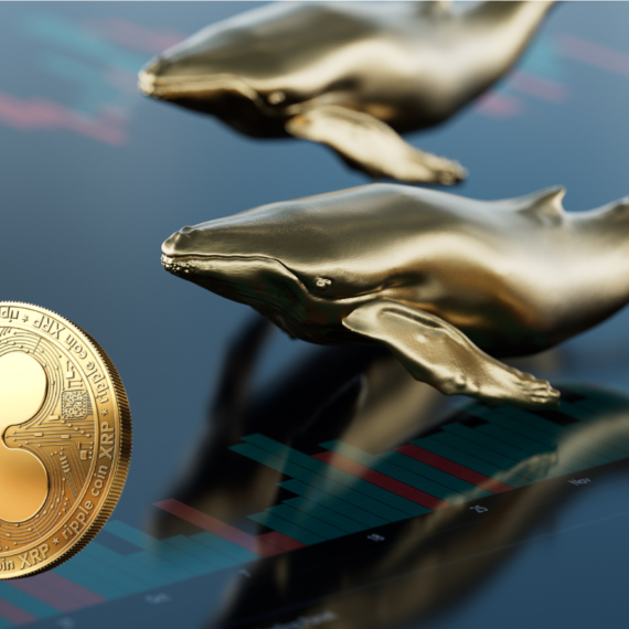 Ripple Yeni Bir Pazara Girmişken Balinalar, On Milyonlarca XRP Topluyor