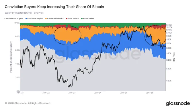 Yüksek inançlı alıcıların Bitcoin arzındaki payının dönemsel değişimini gösteren yatırımcı dağılımı grafiği